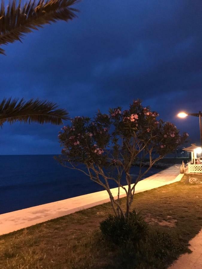 Apartments Ljiljana バール エクステリア 写真