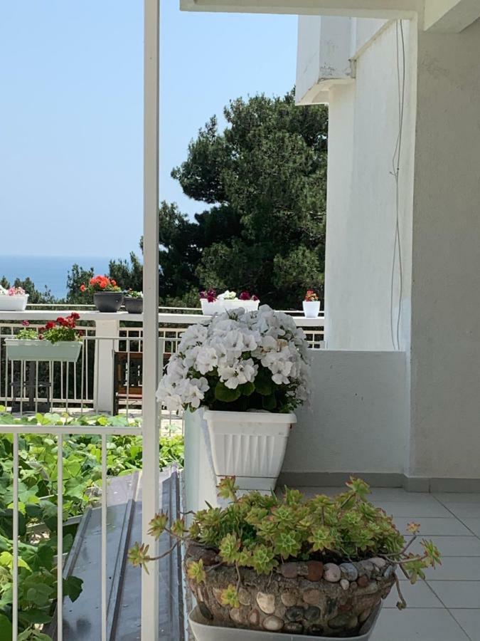Apartments Ljiljana バール エクステリア 写真